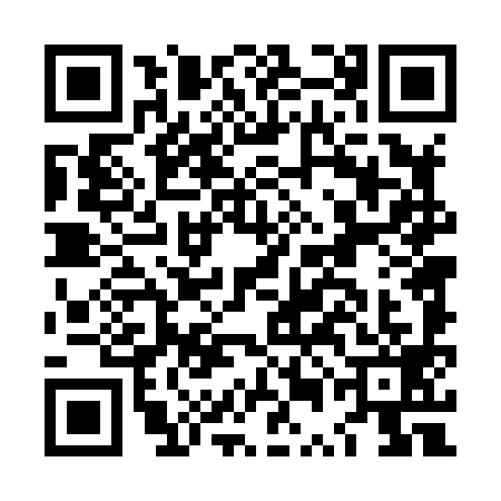 QR code for LUD8993
