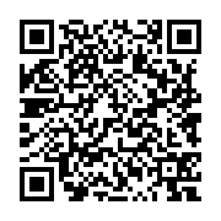 QR code for LUD9343