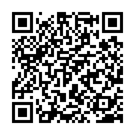 QR code for LUL739