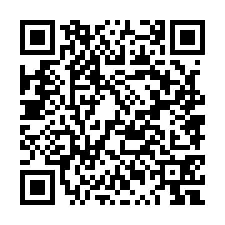 QR code for LUN1702