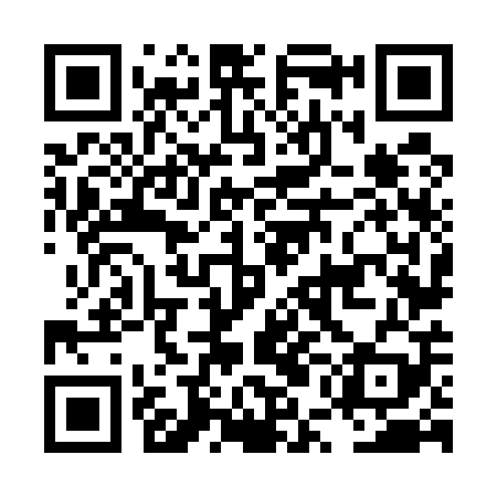 QR code for LUN509