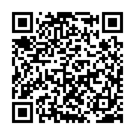 QR code for LUR333