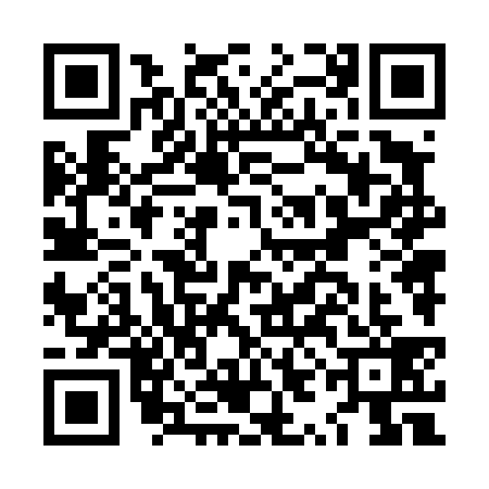 QR code for LYN4393