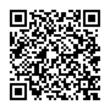 QR code for LYU7379