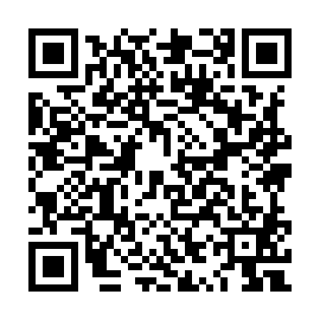 QR code for LYY9811