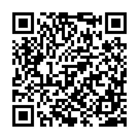 QR code for LYZ206