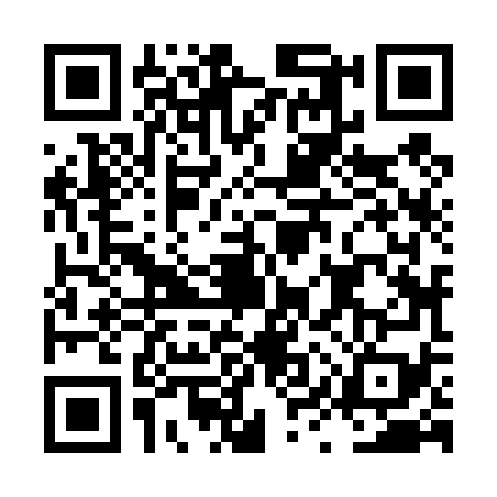 QR code for LYZ4793