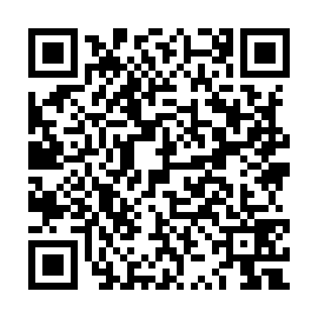 QR code for LZI9799