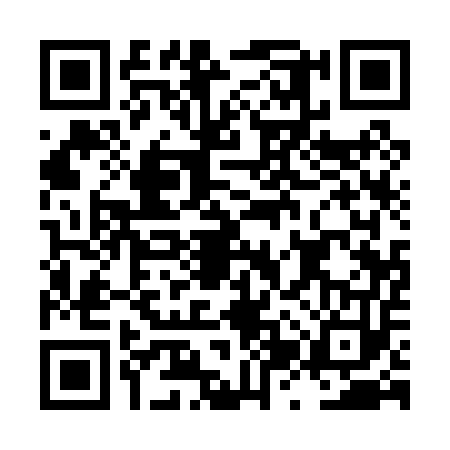 QR code for LZQ0539