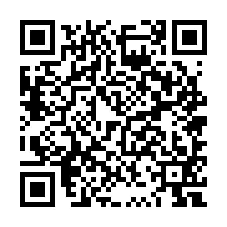 QR code for LZU3936