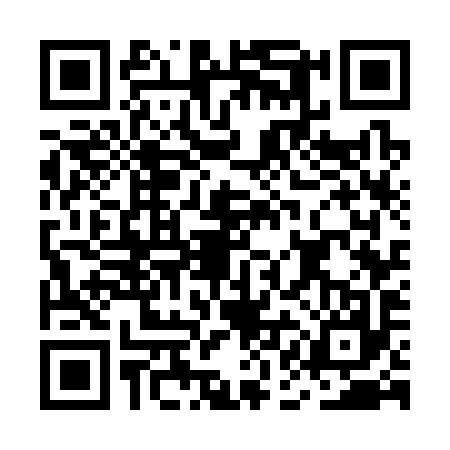 QR code for MAG3979