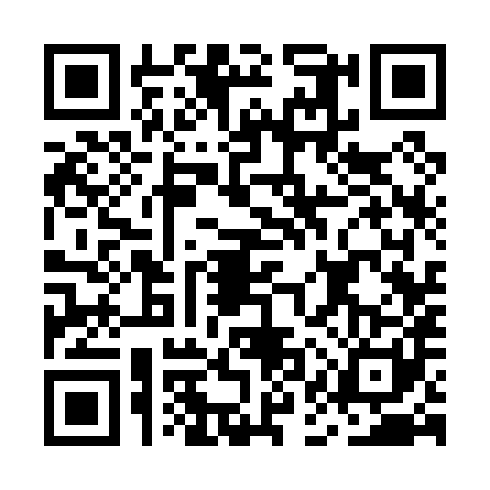 QR code for MAS0813