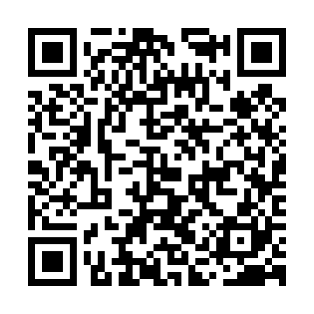 QR code for MAS420