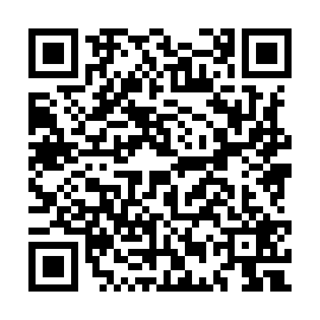 QR code for MEX9295