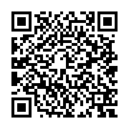 QR code for MFE5229