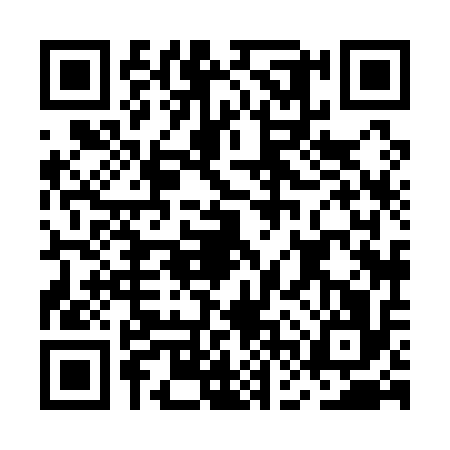 QR code for MFX1163