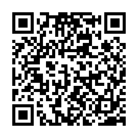 QR code for MGG133