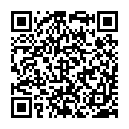 QR code for MGR293