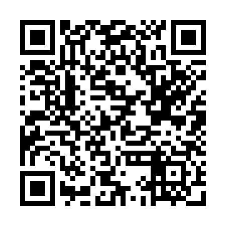 QR code for MIC383