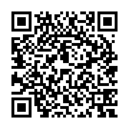 QR code for MIE2786