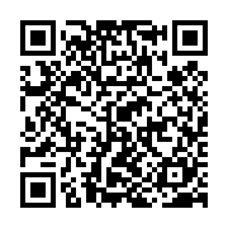 QR code for MIS425