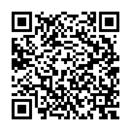 QR code for MIS6833
