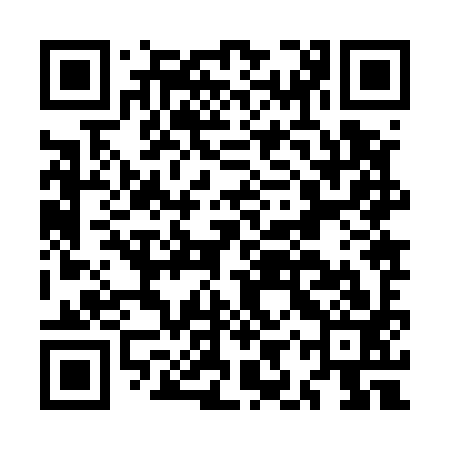 QR code for MIZ593