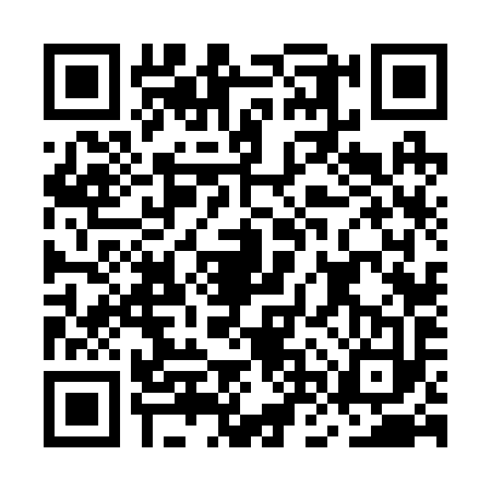 QR code for MNV2938