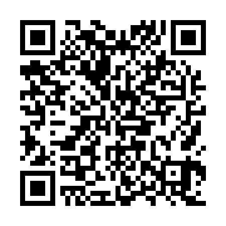 QR code for MPX161