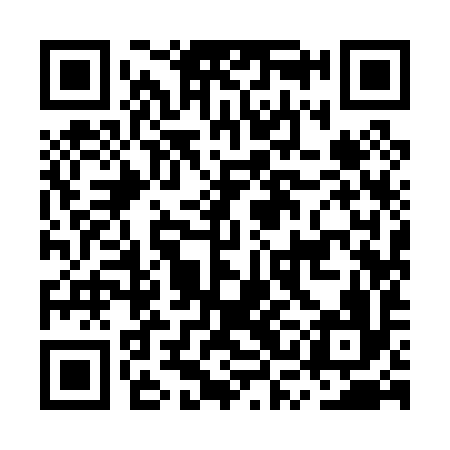 QR code for MSI096