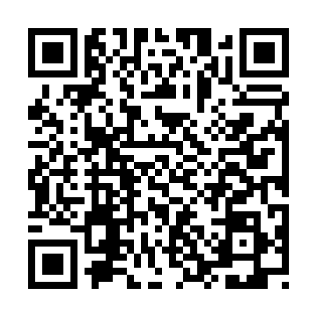 QR code for MSN0980