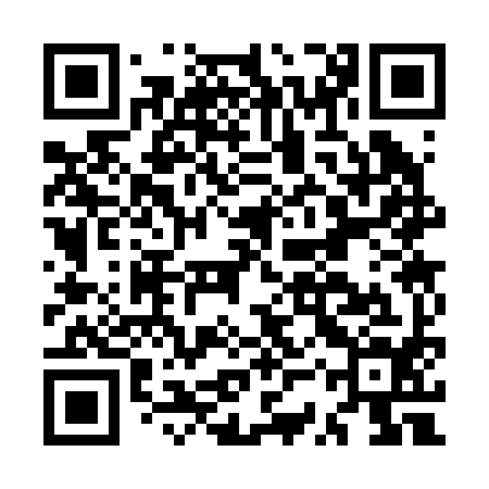 QR code for MSS294