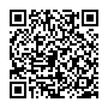 QR code for MYY8382