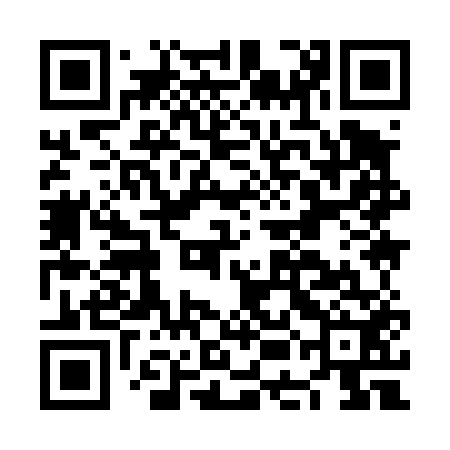 QR code for NEI452