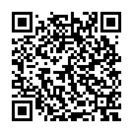 QR code for NES350