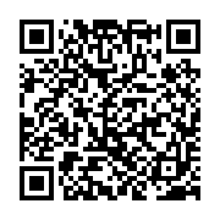 QR code for NIF293