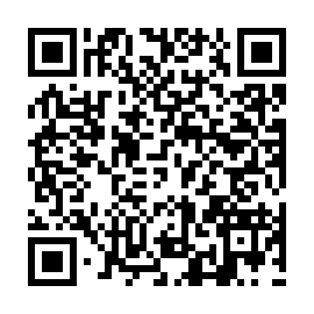 QR code for NII3931