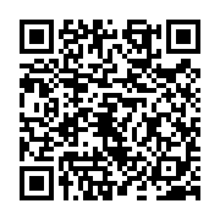 QR code for NII4995