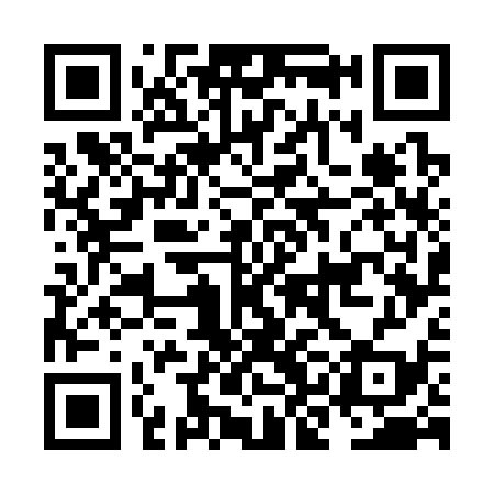 QR code for NKG339