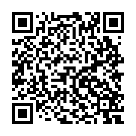 QR code for NLM306