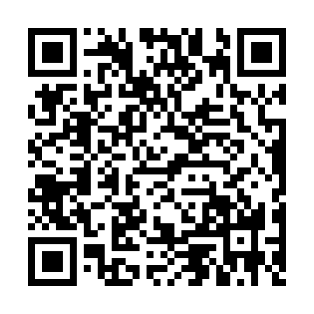 QR code for NMN0384