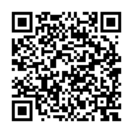 QR code for NMP2960