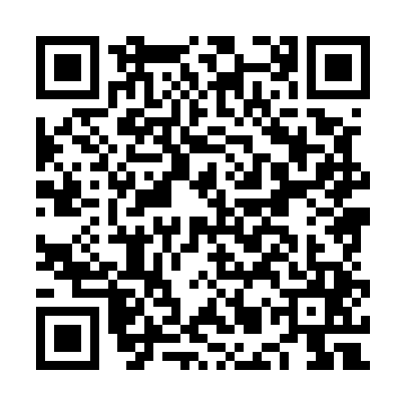 QR code for NMX5453