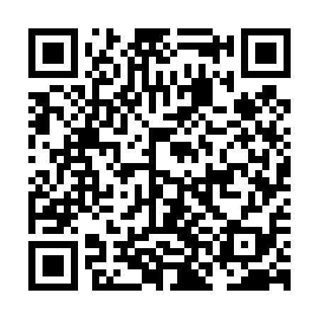 QR code for NNG419