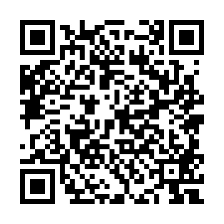 QR code for NNM3895