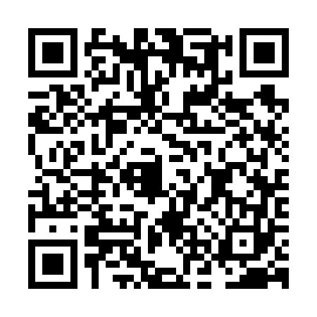 QR code for NNS6633