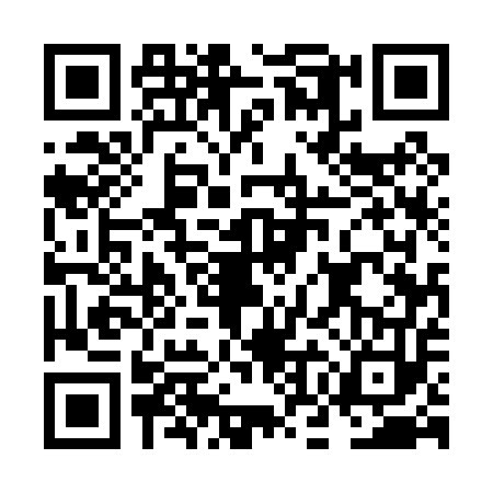 QR code for NOE0539