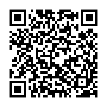 QR code for NPA493