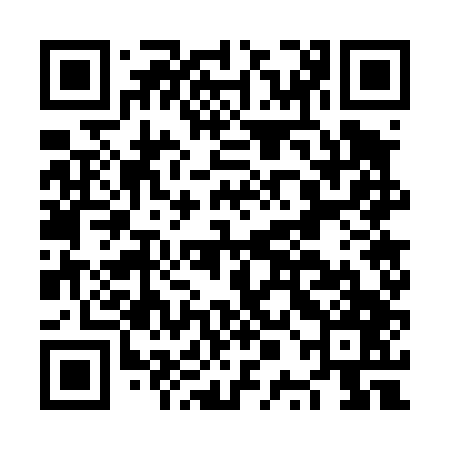 QR code for NPG447