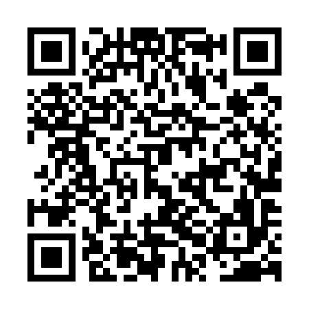 QR code for NPL596